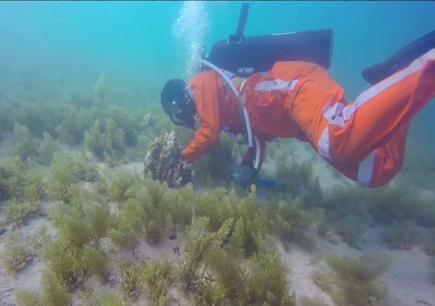 贝斯特 - 全球最奢华的游戏平台