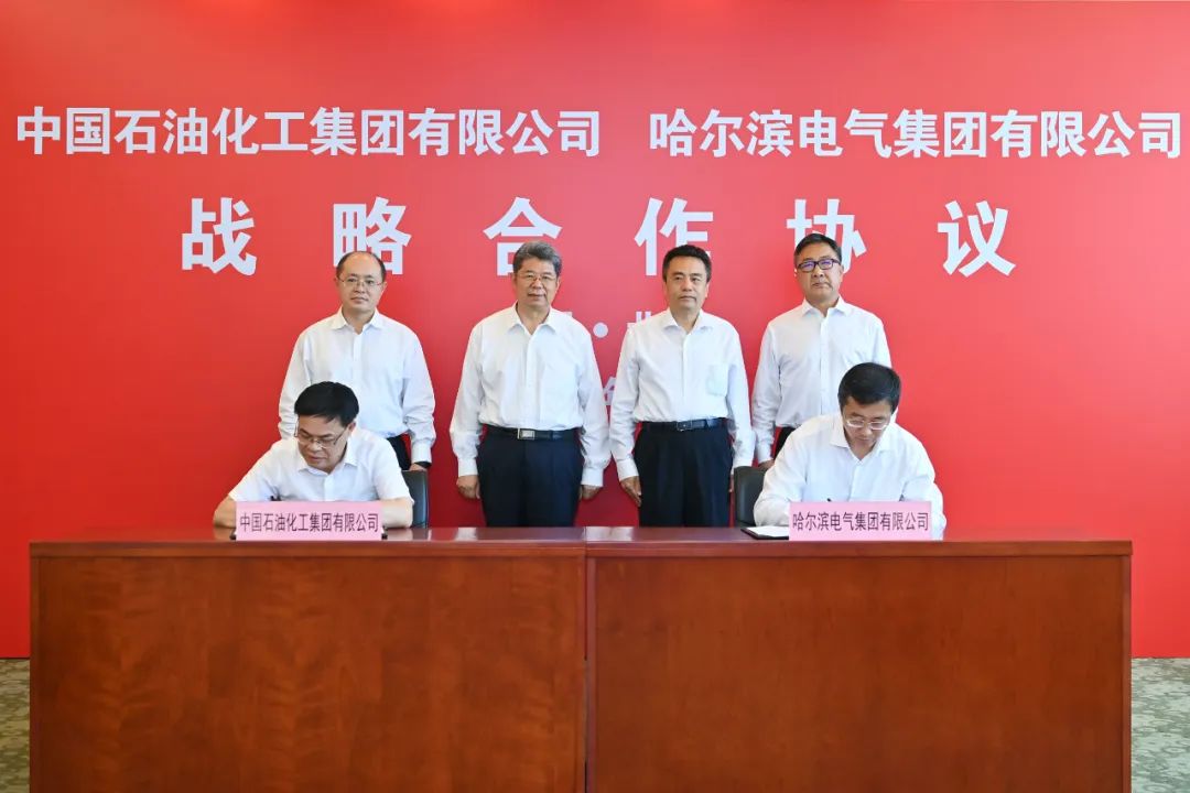 5507DE1AE24A65A8C382D6F33A9_B487D4C3_120B1.jpg?e=