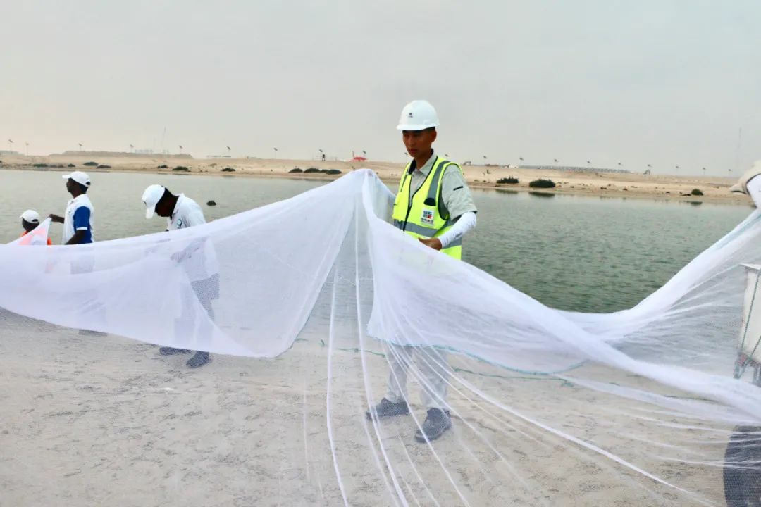 贝斯特 - 全球最奢华的游戏平台