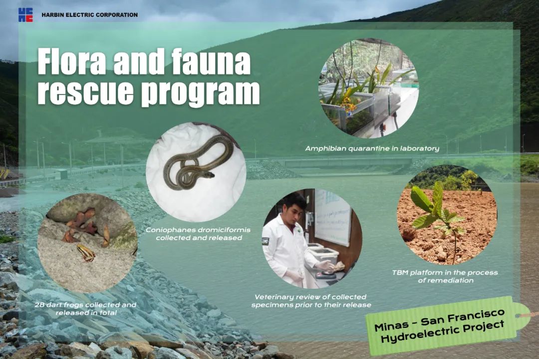 贝斯特 - 全球最奢华的游戏平台