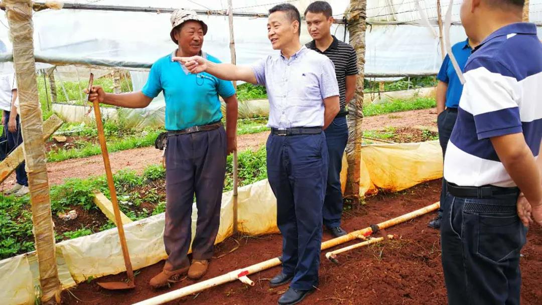 贝斯特 - 全球最奢华的游戏平台