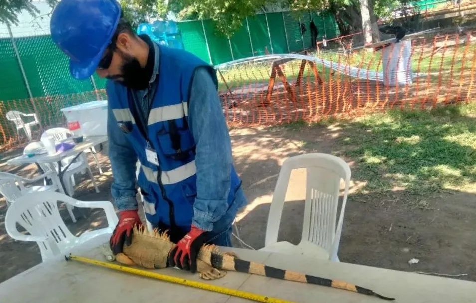 贝斯特 - 全球最奢华的游戏平台