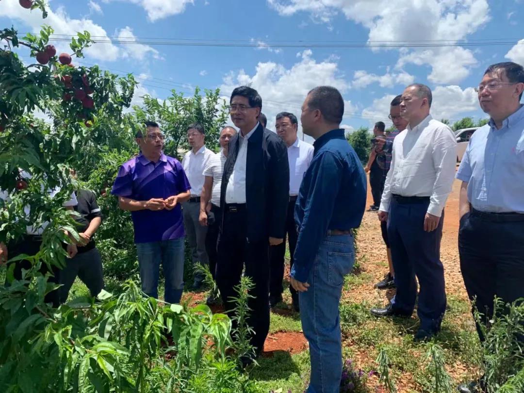 贝斯特 - 全球最奢华的游戏平台