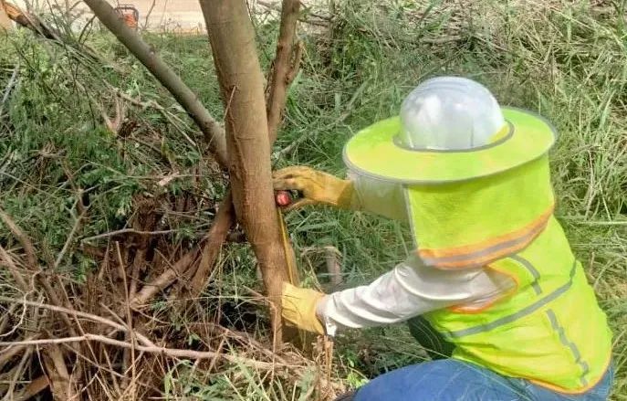 贝斯特 - 全球最奢华的游戏平台