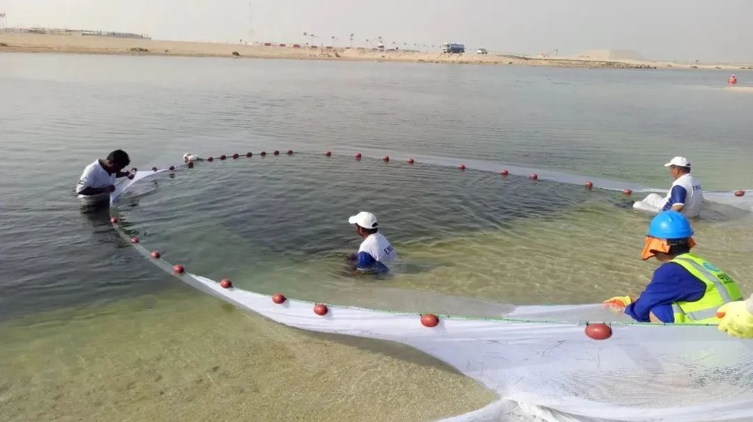 贝斯特 - 全球最奢华的游戏平台