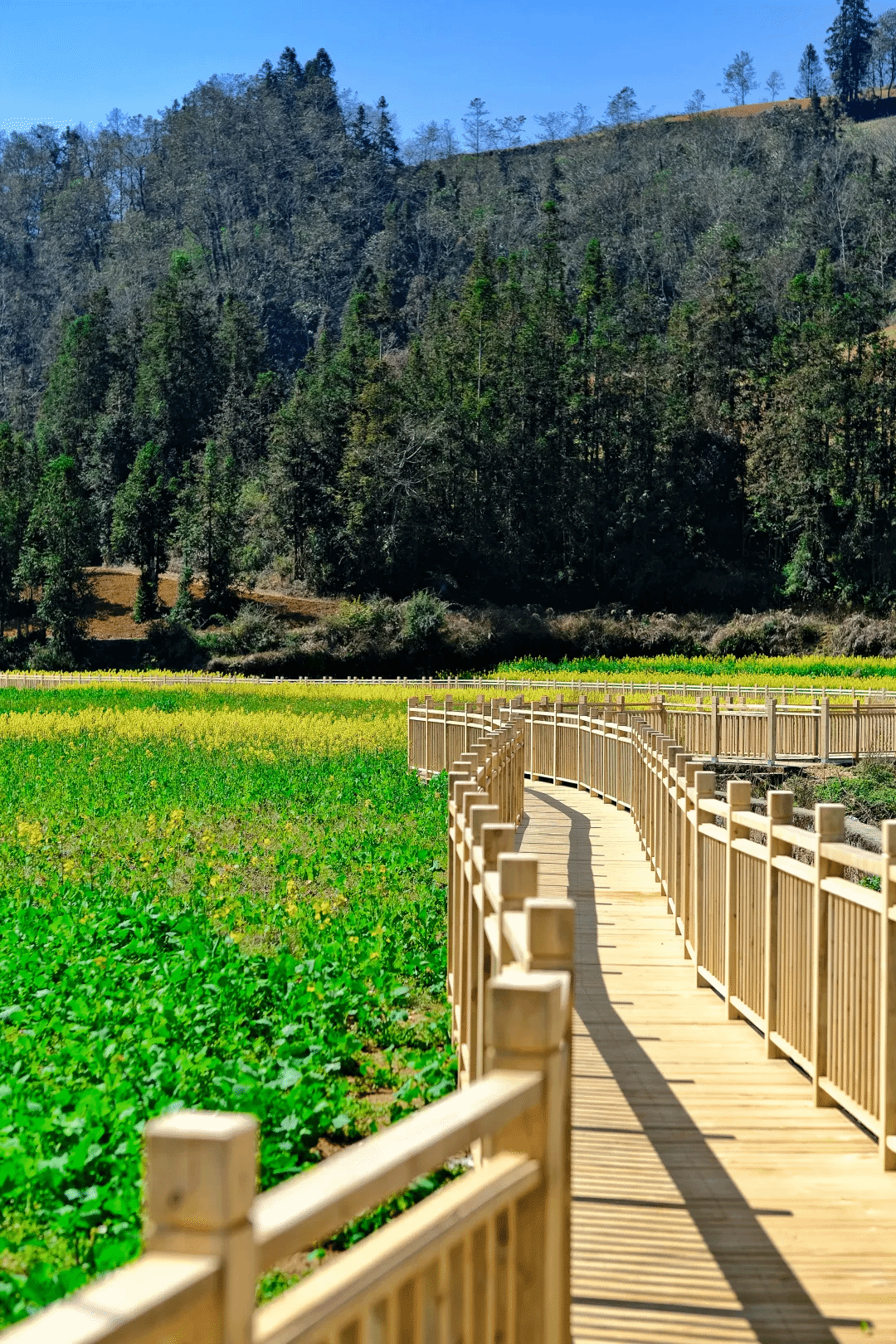 贝斯特 - 全球最奢华的游戏平台