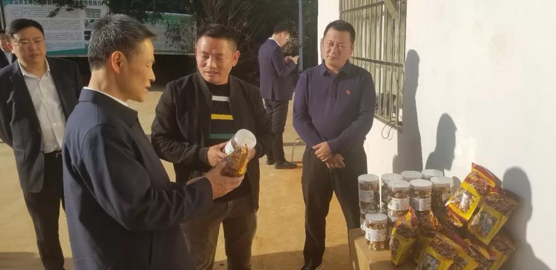 贝斯特 - 全球最奢华的游戏平台