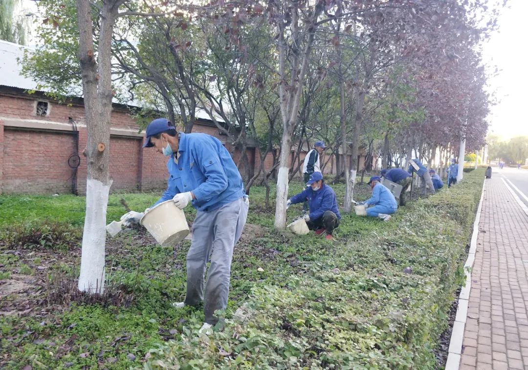 贝斯特 - 全球最奢华的游戏平台