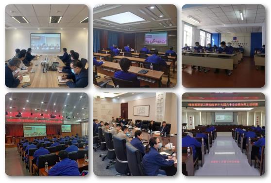 贝斯特 - 全球最奢华的游戏平台